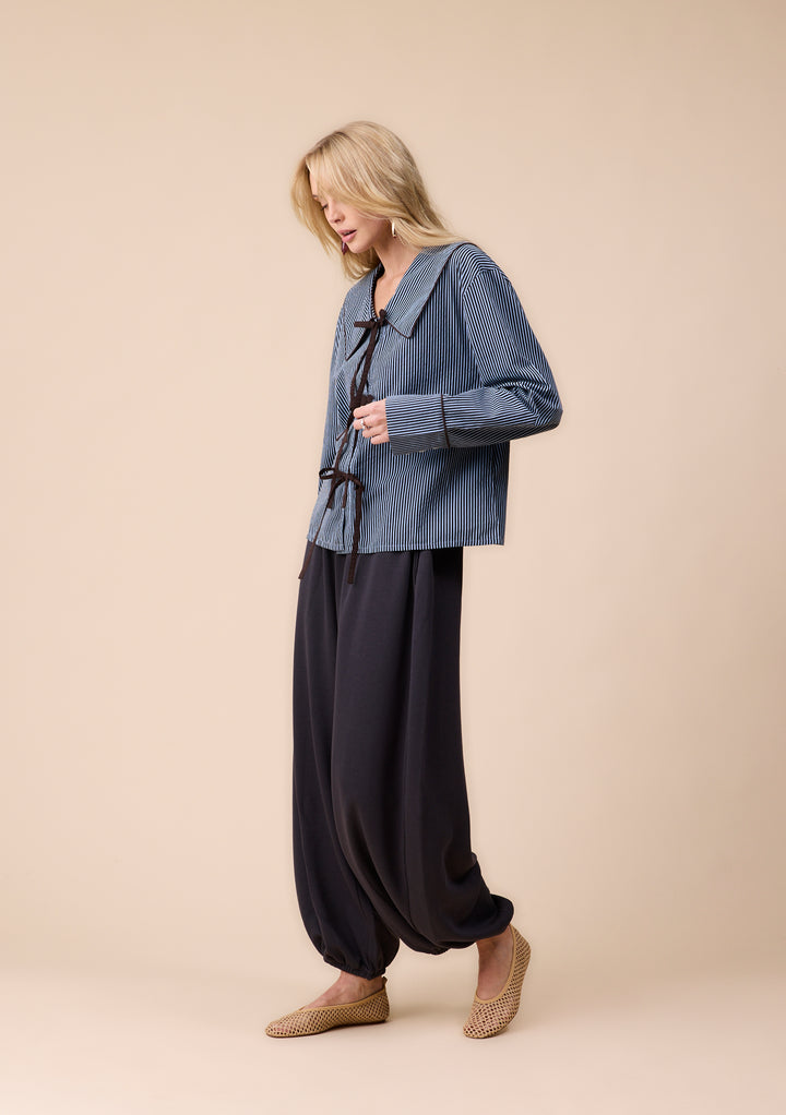 Cotton Shirt in Blue Stripe