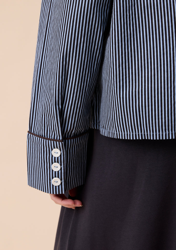 Cotton Shirt in Blue Stripe