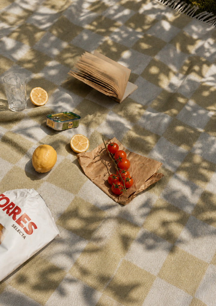 Recycled Wool Picnic Blanket in Green & Blue Checkerboard
