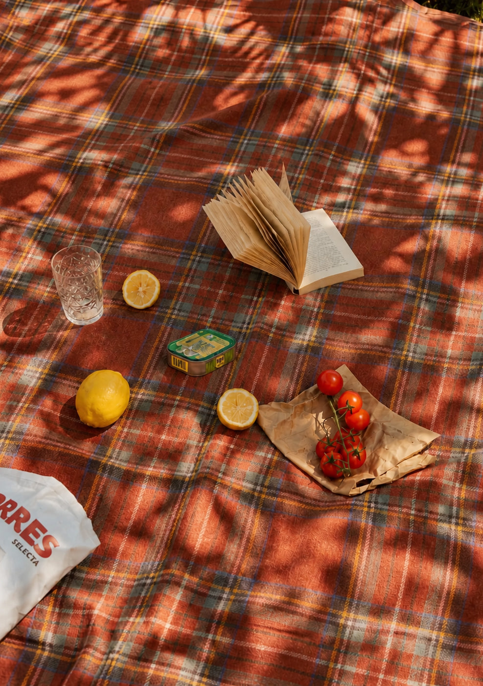 Recycled Wool Picnic Blanket in Stewart Royal Antique Tartan