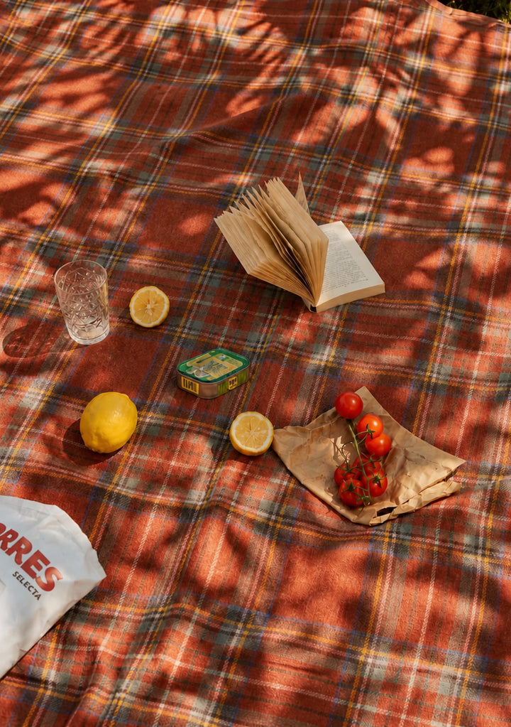 Recycled Wool Picnic Blanket in Stewart Royal Antique Tartan